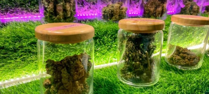 Průvodce nákupem e cigareta hradcanska nejlepší nabídky místních obchodů a tipy